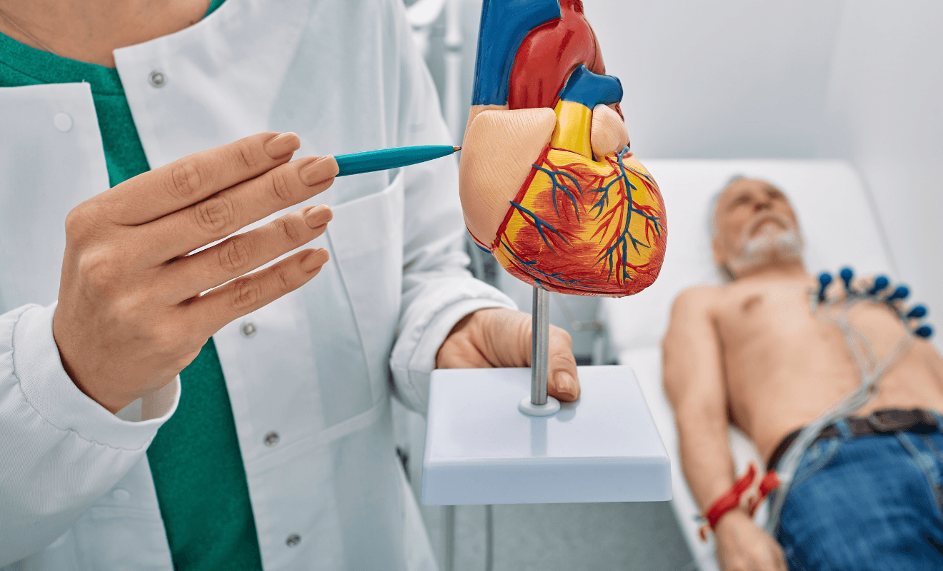 Como prevenir doenças cardiovasculares